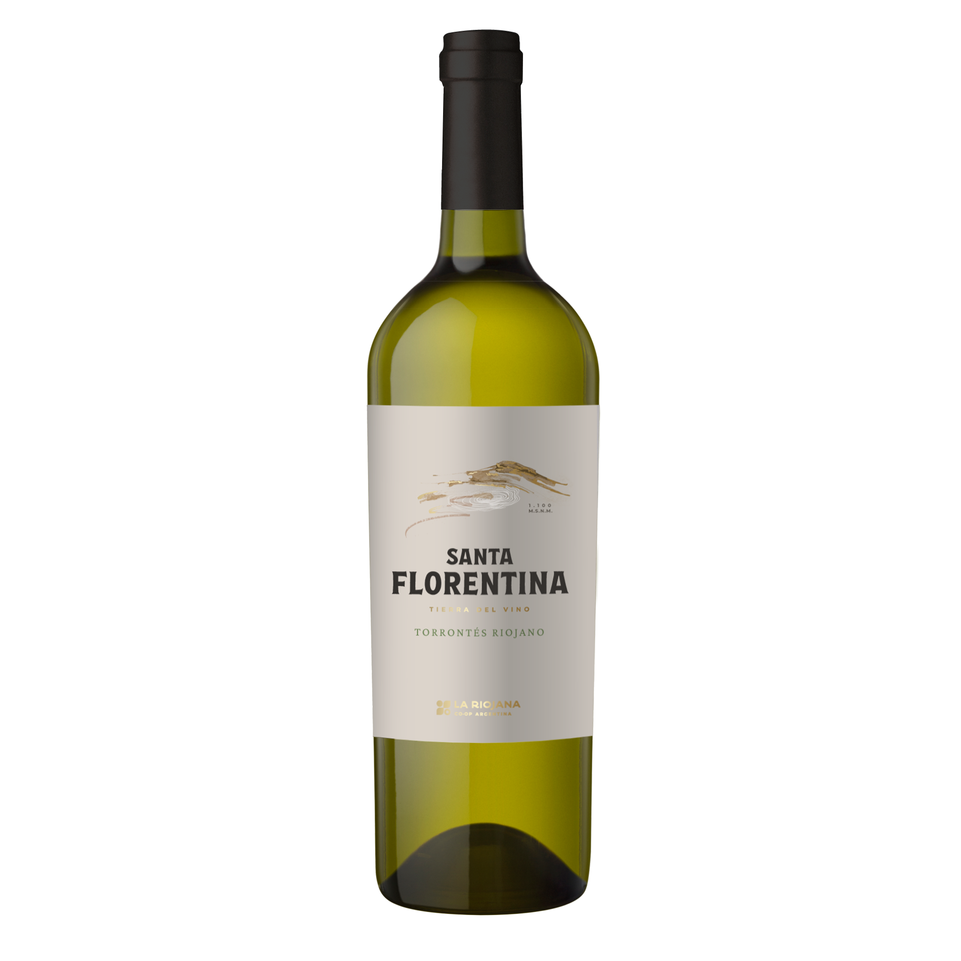 Santa Florentina Torrontes Riojano 750ml