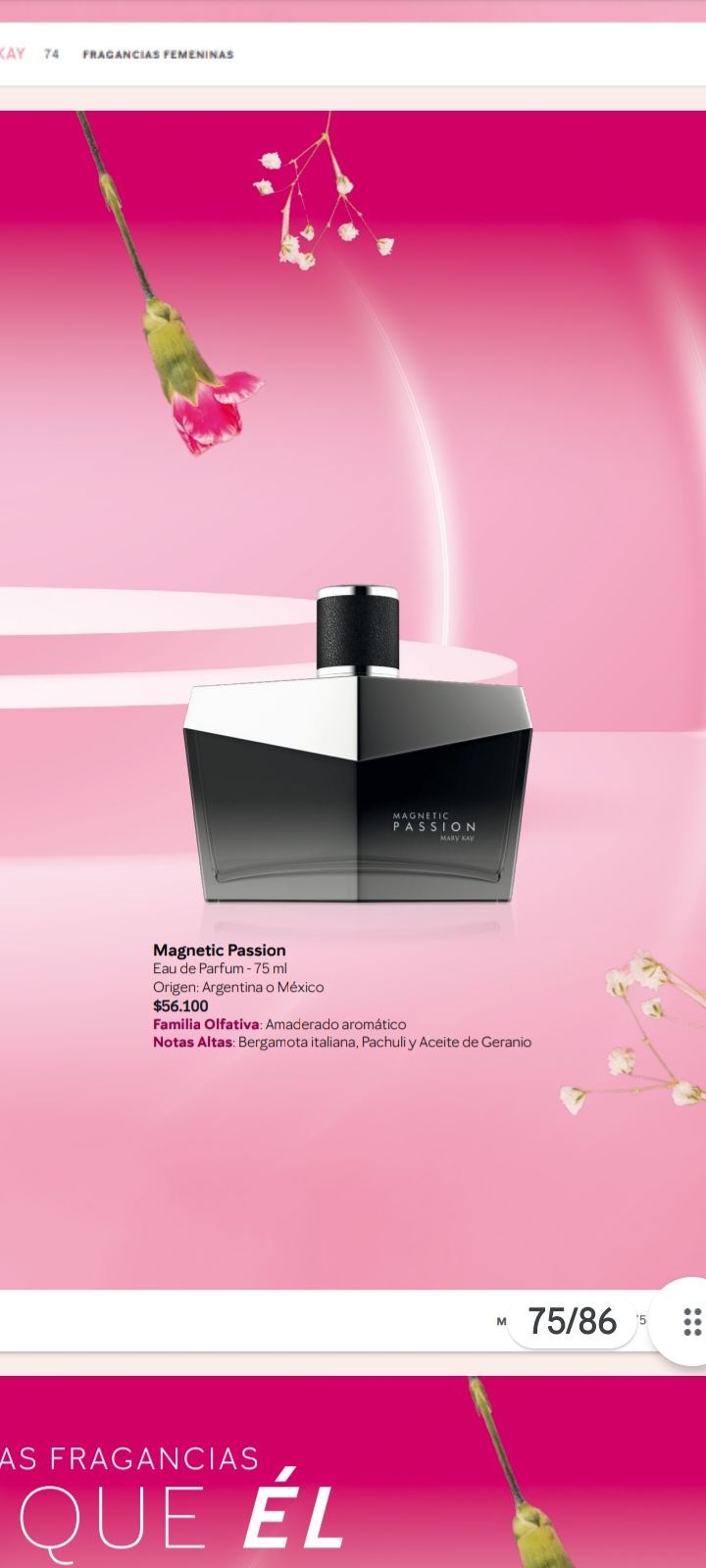 Fragancia para caballeros